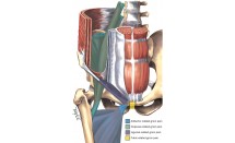 KA1525P23.jpg