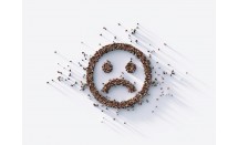 web_17.01.23.jpg