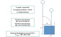 KS564P47.jpg