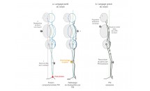 KS569P11.jpg