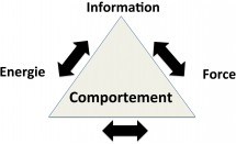 KS623P17.jpg