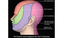 KS629P13.jpg