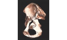 KS654P21.jpg