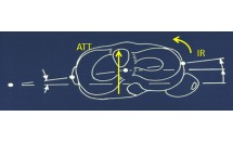 KS674P31.jpg