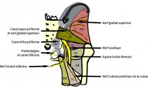 KS676P47.jpg
