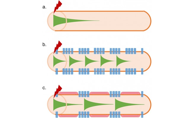 KS678P11.jpg